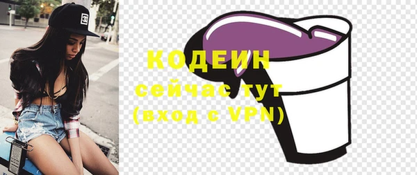 прущие грибы Лабытнанги