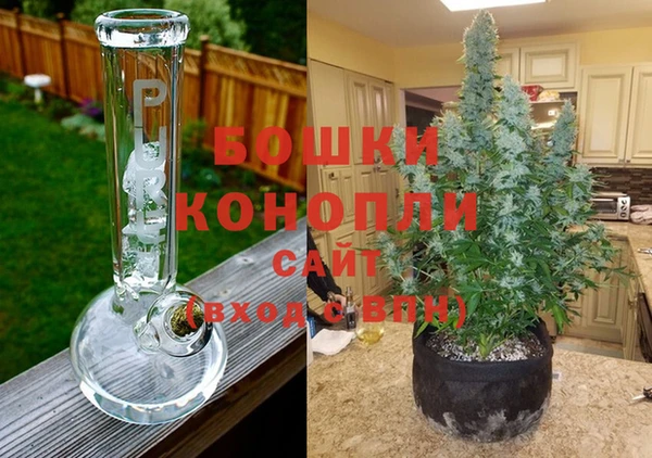 мяу мяу мука Кукмор