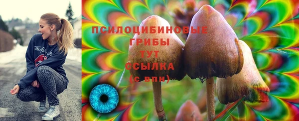 мяу мяу мука Кукмор