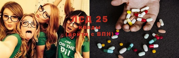 прущие грибы Лабытнанги