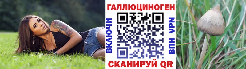 блэк спрут маркетплейс  Крымск  Галлюциногенные грибы Psilocybe  купить наркоту 