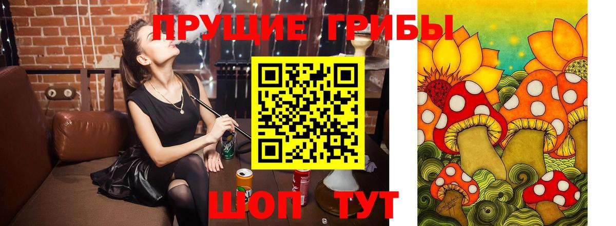 Галлюциногенные грибы MAGIC MUSHROOMS  Вход с VPN  как найти наркотики  Крымск 